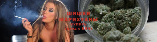 соль ск Алзамай