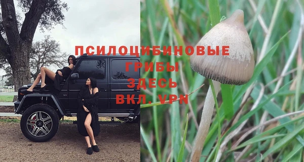 герыч Алексеевка