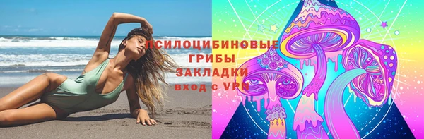 соль ск Алзамай