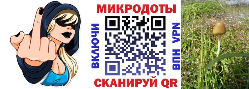 МЕГА как зайти  где купить   Игарка  Галлюциногенные грибы ЛСД 